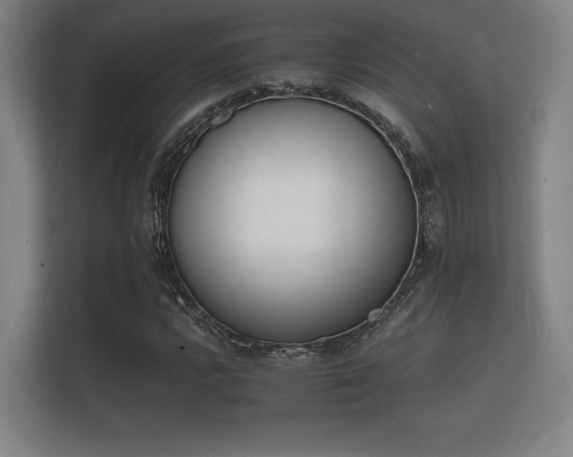 X0000112141112200908141148