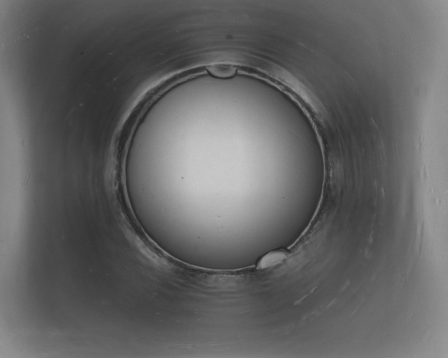 X0000112141116200908141148