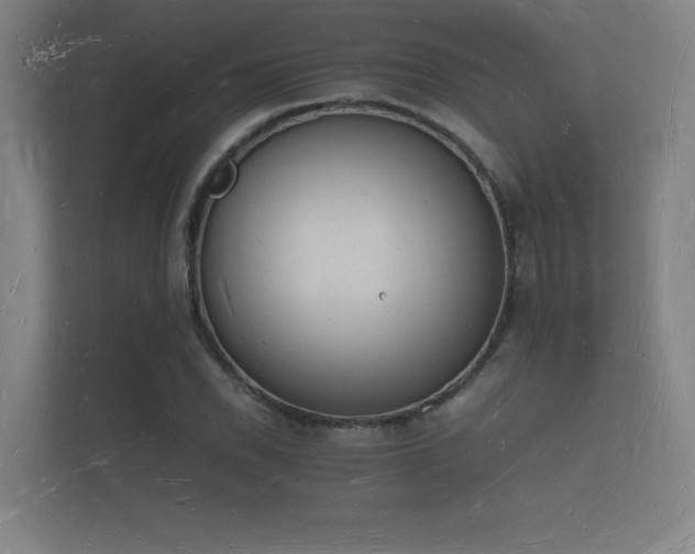 X0000112141118200908141148