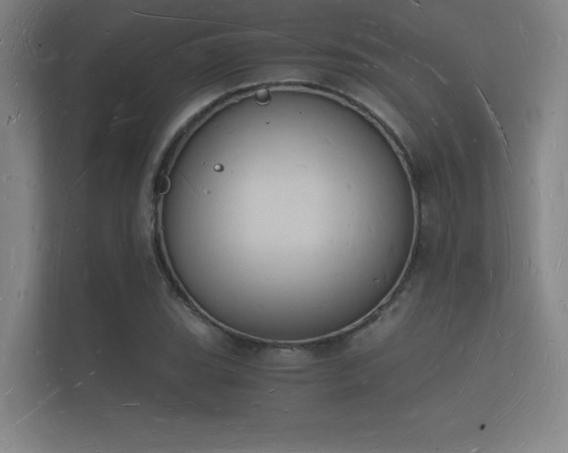 X0000112141119200908141149