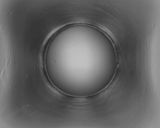 X0000112141120200908141149