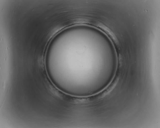 X0000112141121200908141149