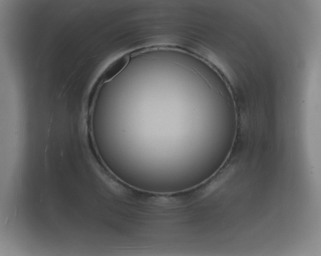 X0000112141124200908141149