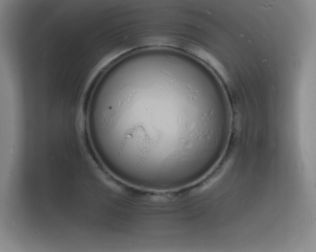 X0000112141125200908141149