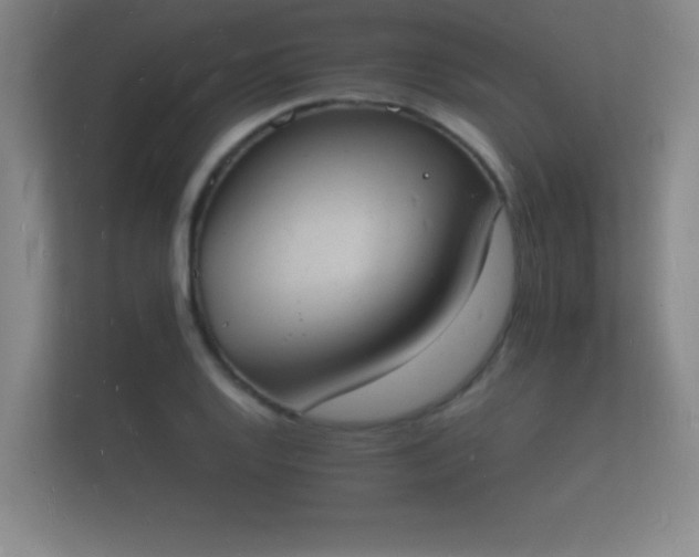 X0000112141128200908141149