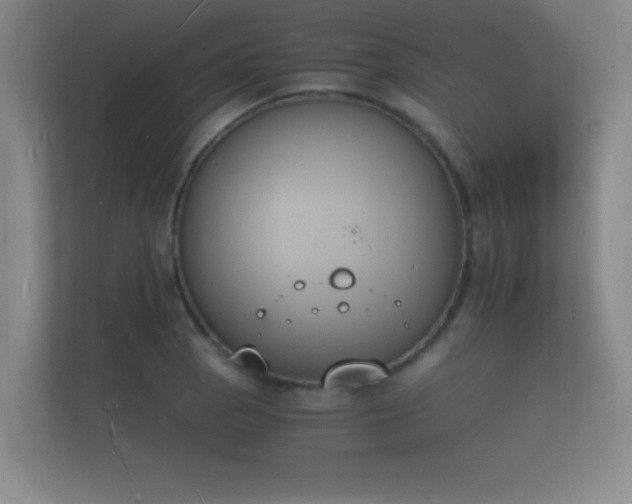 X0000112141129200908141149