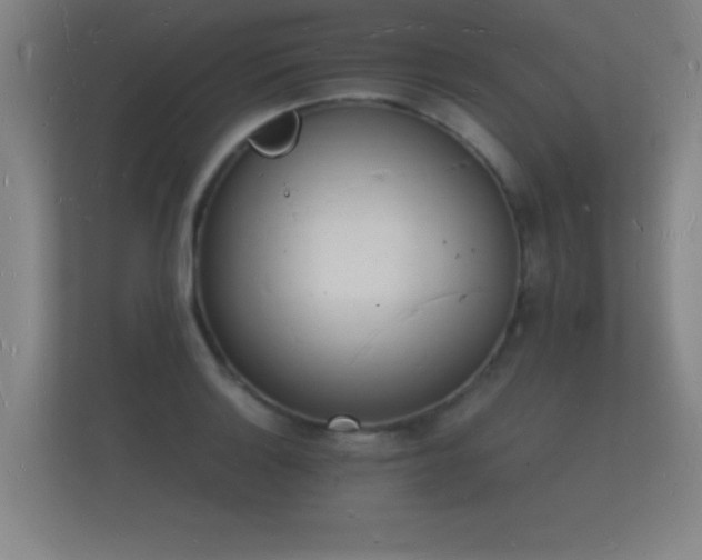 X0000112141132200908141149