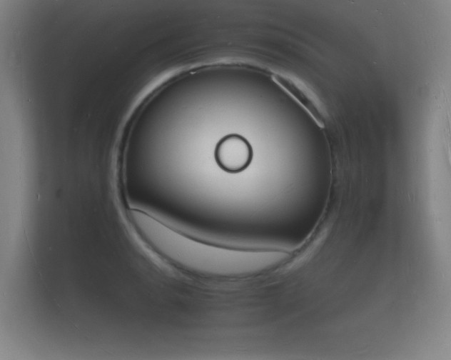 X0000112141134200908141149