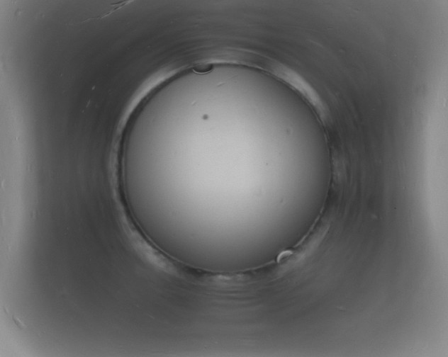 X0000112141138200908141149