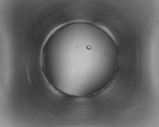 X0000112141140200908141149