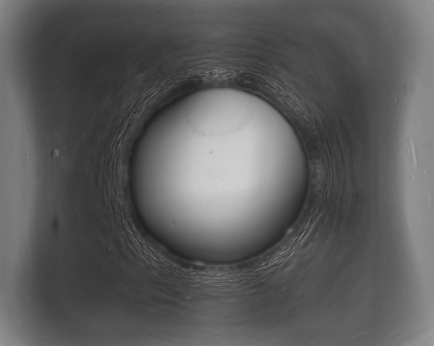 X0000112141153200908141148