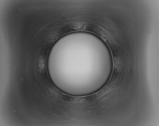 X0000112141154200908141148