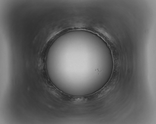 X0000112141160200908141148