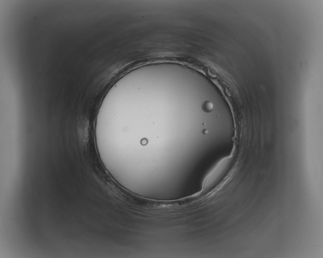 X0000112141161200908141148