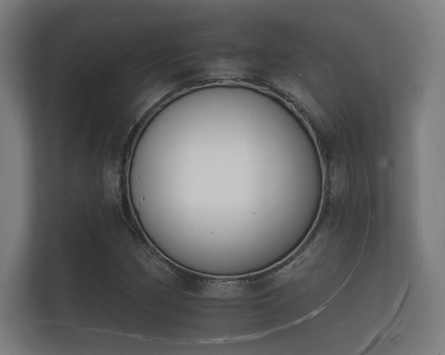 X0000112141162200908141148