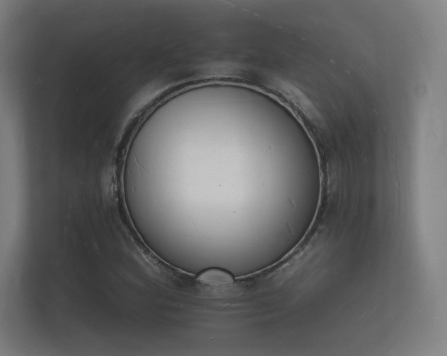 X0000112141164200908141148