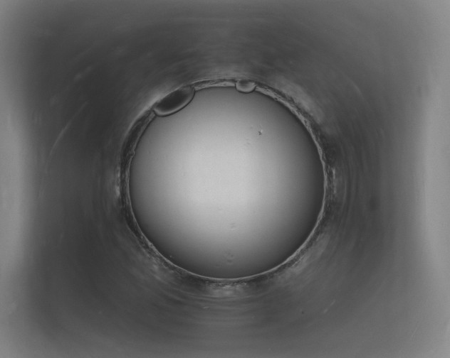 X0000112141165200908141148