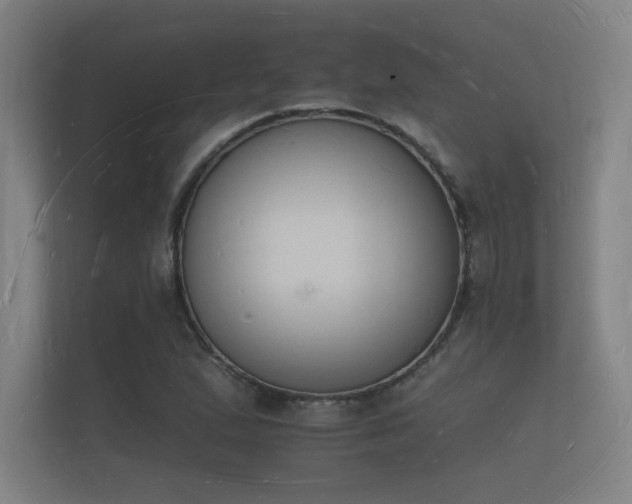 X0000112141167200908141148