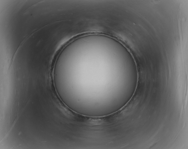 X0000112141168200908141148