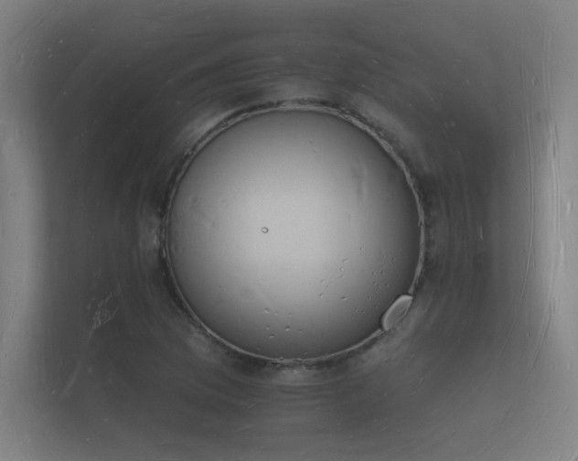 X0000112141169200908141148