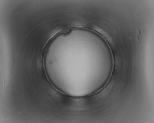 X0000112141170200908141148