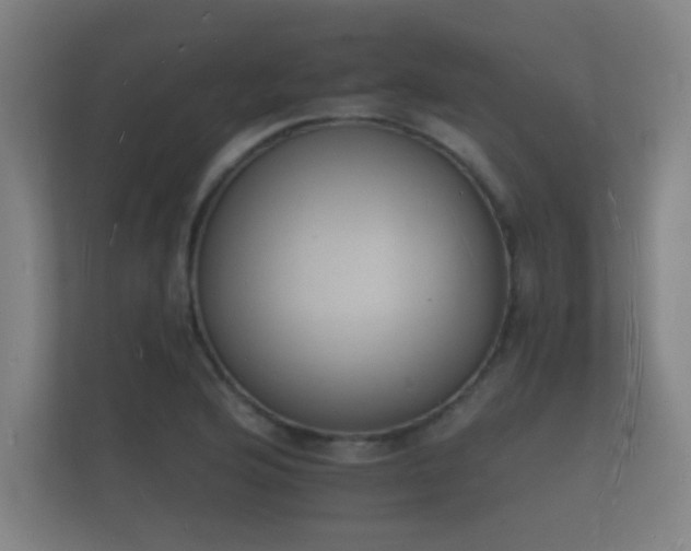 X0000112141176200908141148