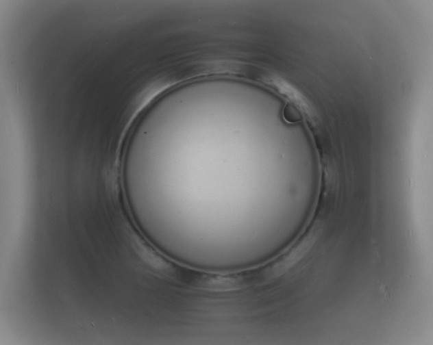 X0000112141178200908141148