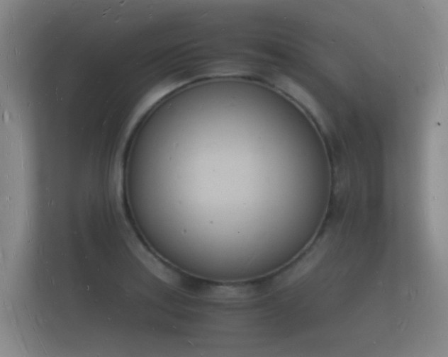 X0000112141179200908141148