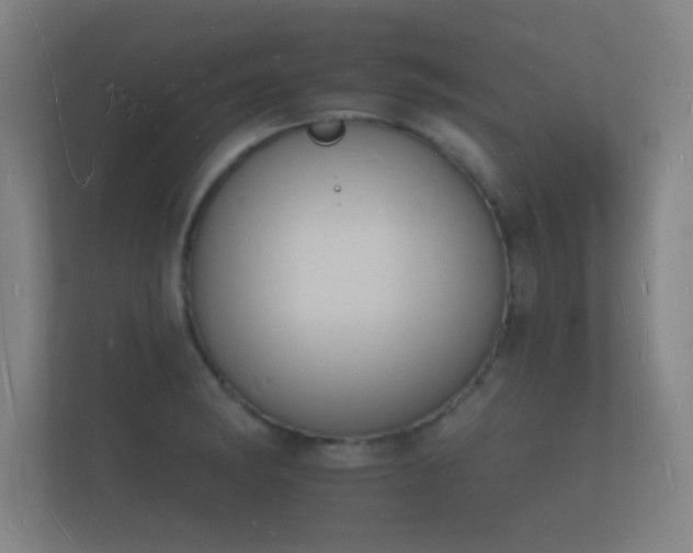 X0000112141182200908141148