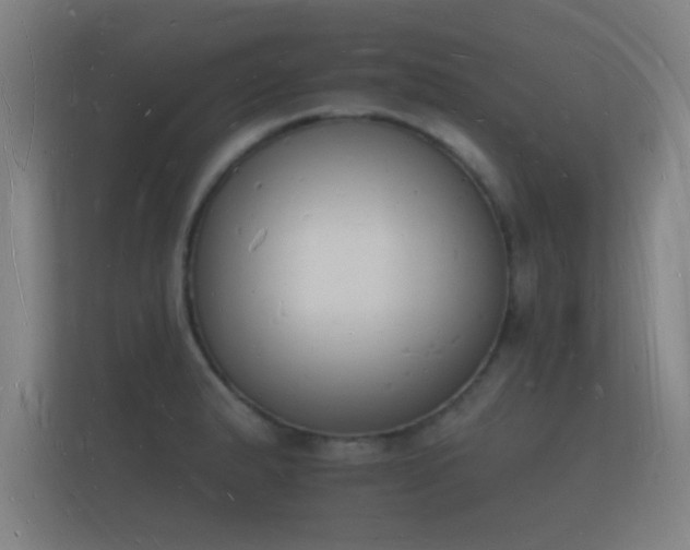 X0000112141183200908141148