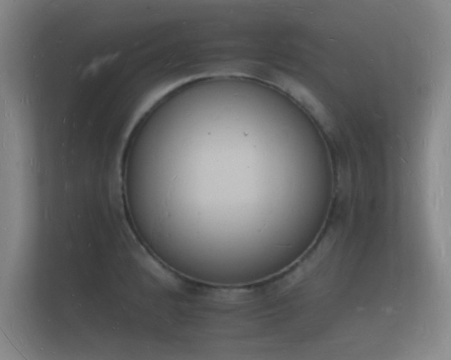 X0000112141184200908141148