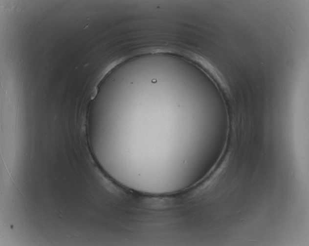 X0000112141185200908141148