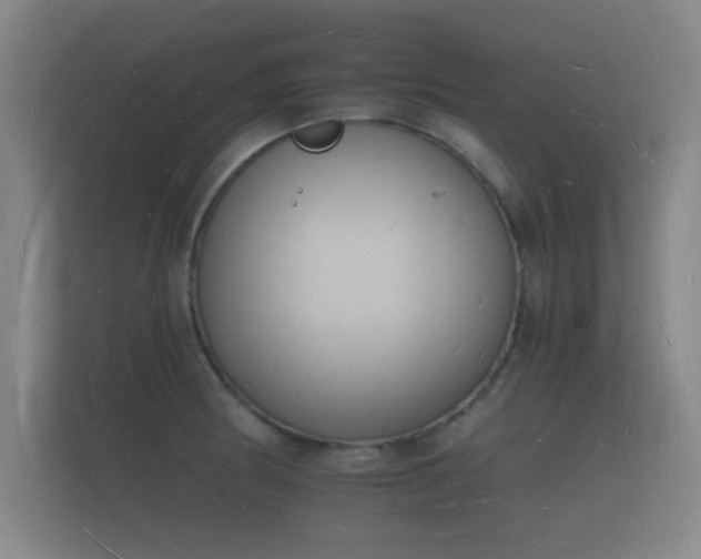 X0000112141186200908141148