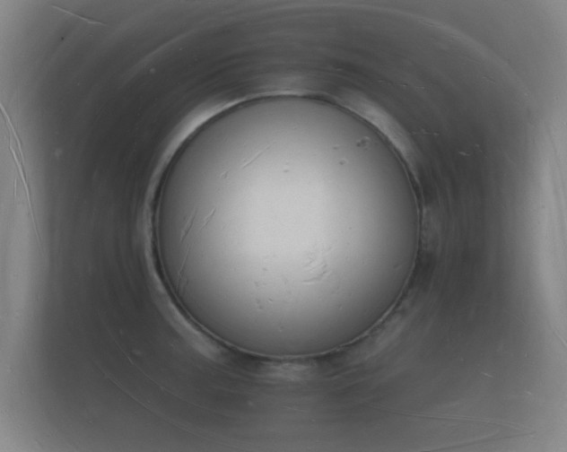 X0000112141187200908141148