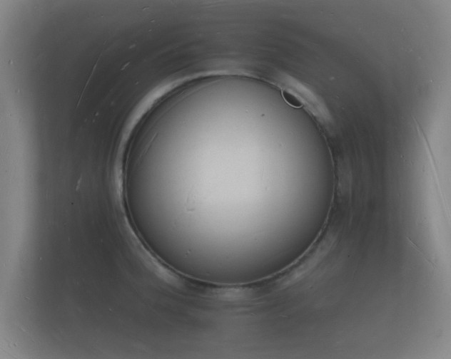 X0000112141188200908141148