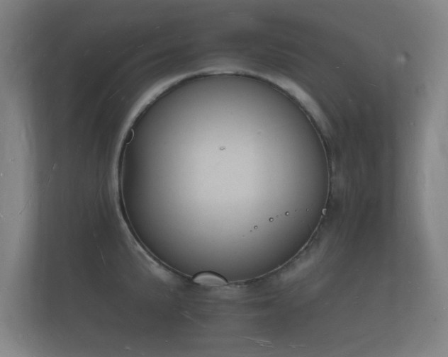 X0000112141191200908141148