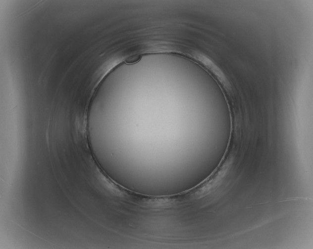 X0000112141193200908141148