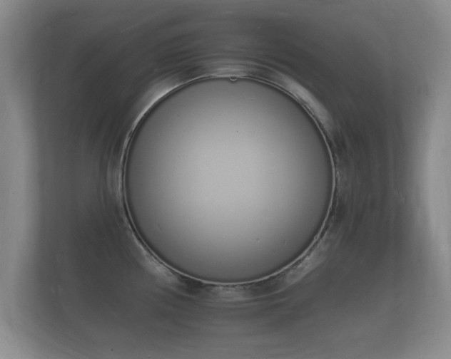 X0000112141194200908141148