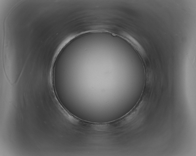 X0000112141196200908141148