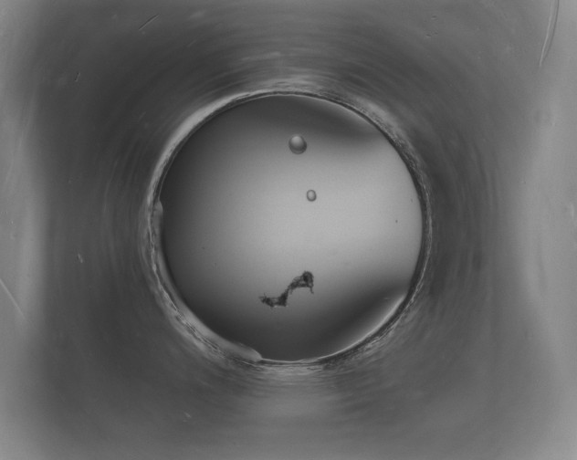 X0000112141200200908141148