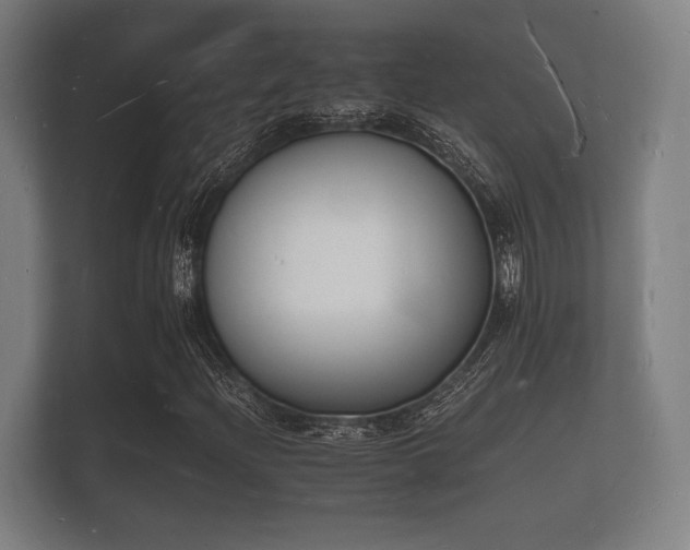 X0000112141204200908141147