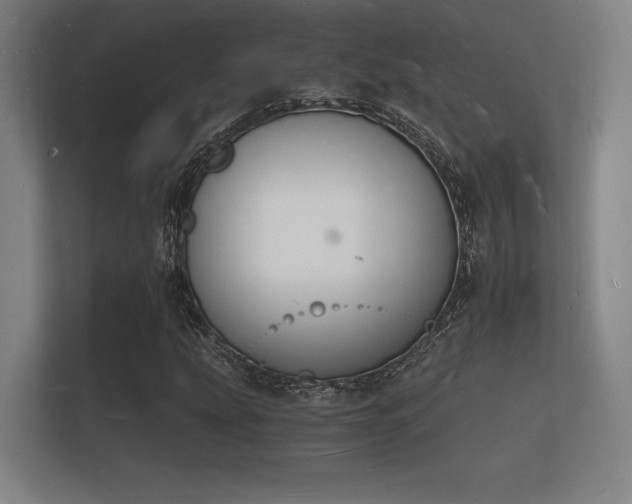 X0000112141207200908141147