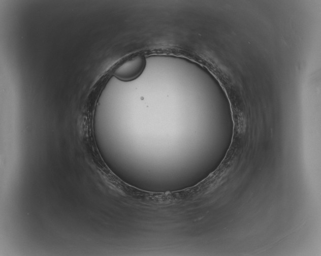 X0000112141208200908141147