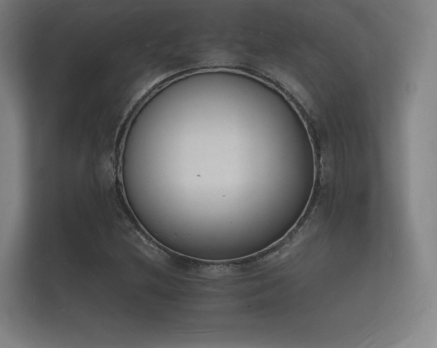 X0000112141212200908141147