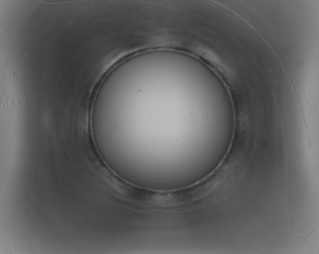 X0000112141220200908141147