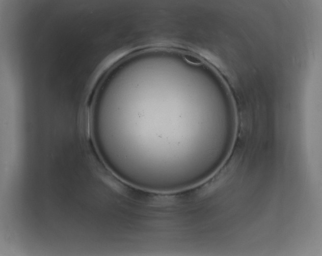 X0000112141223200908141147