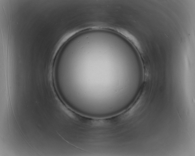 X0000112141231200908141147