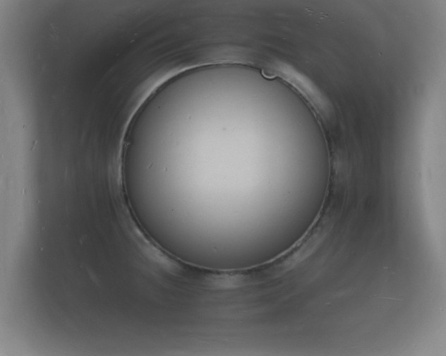 X0000112141236200908141148