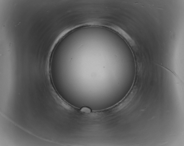 X0000112141240200908141148