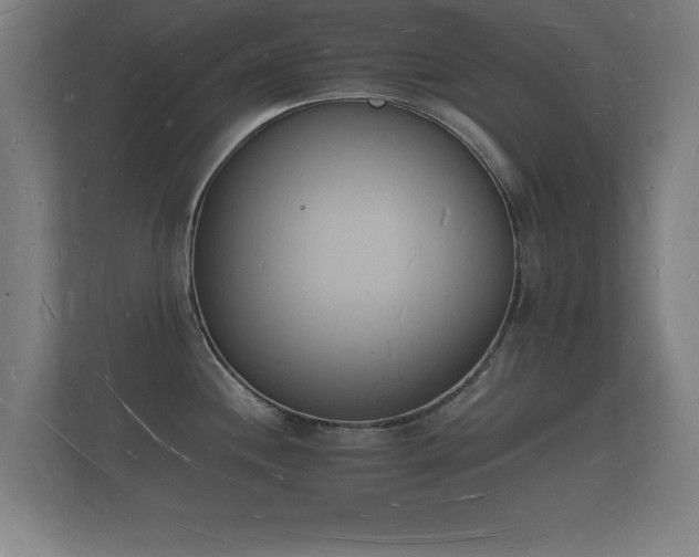 X0000112141244200908141148